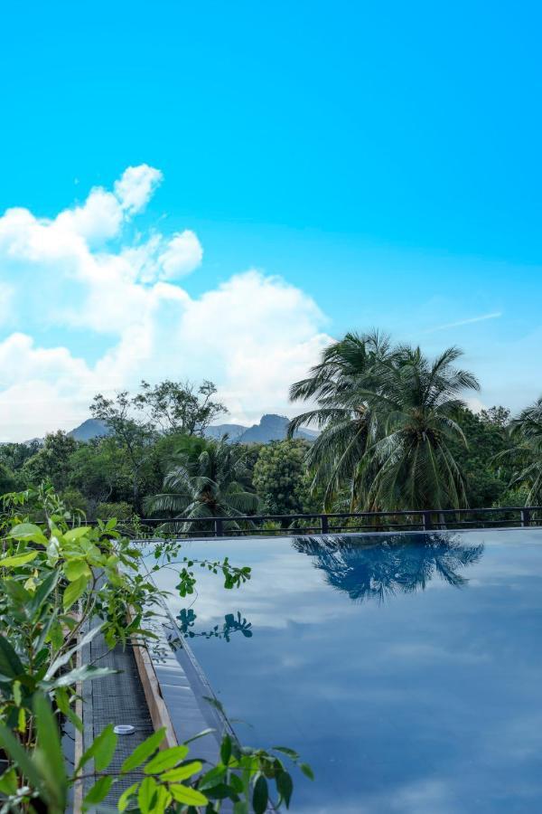 Covanro Sigiriya - Brand New Luxury Hotel Eksteriør bilde